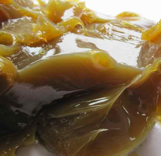 Caster Bearing Grease