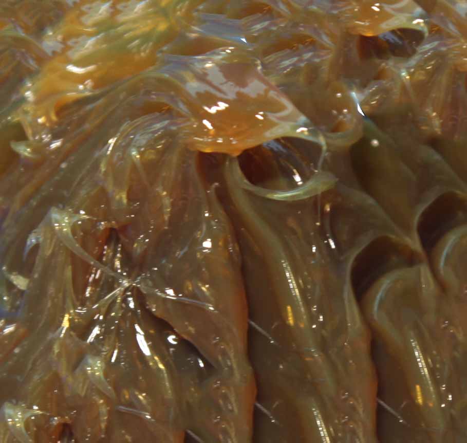 Lithium Complex Grease